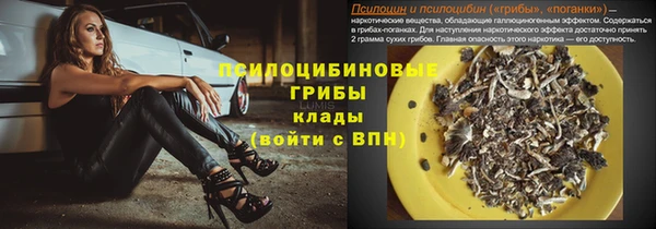 амф Аркадак